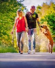 Beshepherd Tierfotografie - Sophie Lombeck Bild 20