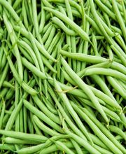 Karl Haegeli Erben AG Bild 6