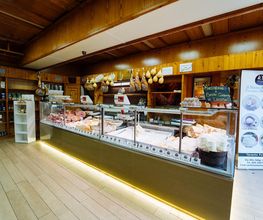 Gallery Professionale