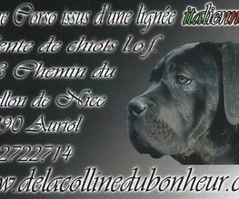 Chenil Des Fontaines image 10