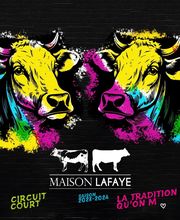 Maison Lafaye image 5