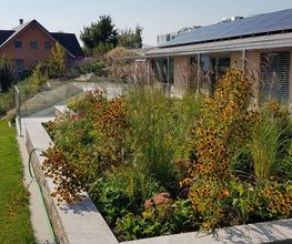 Trais Fluors Gartenbau GmbH Bild 8