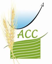 Acti Compta Conseil image 4