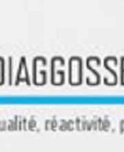 Diaggosset image 11