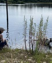 L'ETOILE D'OURALE image 3