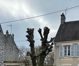 MAYER ELAGAGE image 1