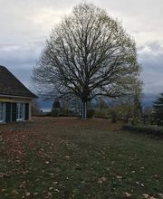 Parvex Paysagiste Sàrl Bild 8