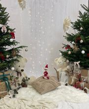 Orchestra MANDELIEU LA NAPOULE image 12