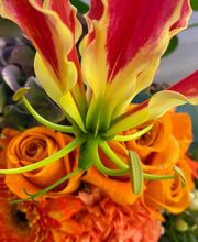 Chiara's Creative Factory GmbH Bild 7