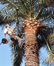 SARGIOTTO Didier & Fils image 8