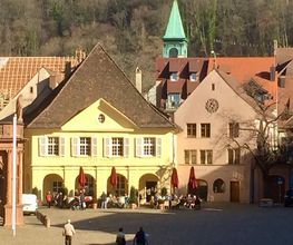 Freiburg-Guide Bild 3