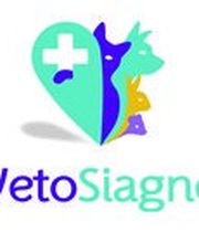 VetoSiagne Pégomas image 1