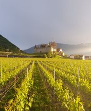 Cave du Clos Aimond Sàrl Bild 11