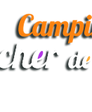 Camping Le Rocher De La Granelle image 6