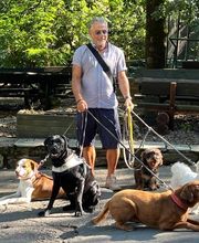 Hundeschule Elmi Bild 2
