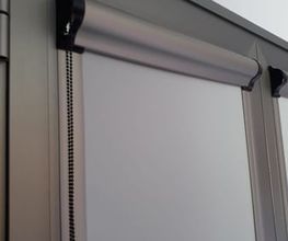 10850253-2-oEnULGCz4Y1708972174990.jpeg