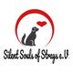 Silent Souls of Strays e.V.