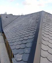 Biver Pierre image 14