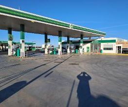 bp imagen 4