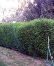 Multi Services Occitanie image 13