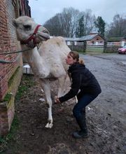 Luana EMINIC HUGO - L'ostéo animaux Bild 7