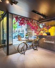 Occidental Diagonal 414 imagen 15