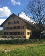 Ferme-Restaurant Pierreberg Bild 1