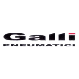 Pneumatici Galli logo