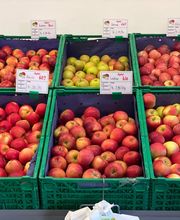 Rheinobst Genossenschaft Bild 12