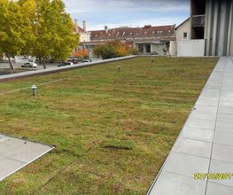 Eurotip image 15
