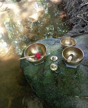 Fabienne Bos Ostéofluidique Sonothérapie Magnétisme Géobiologie image 7