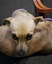 Y yo con estos pelos imagen 9