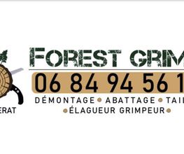 Forest Grimp image 7