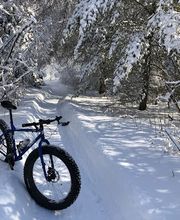 Dynamic Cycling Adventures image 2