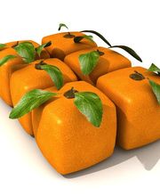 Bio-Gründer Wettbewerb Bild 8