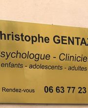 Gentaz Christophe image 3