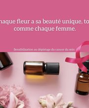 La Petite Plante image 17