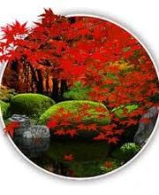 Quint Essence image 3