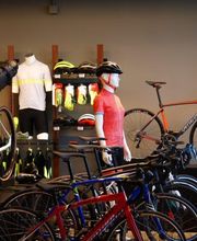 Winbike image 5