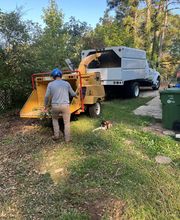 Life's Tree Doctor, LLC image 7
