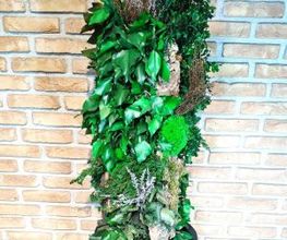 Vegetal Trend Sàrl Bild 12