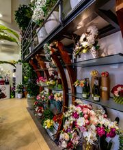 Gallery Professionale