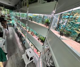 Aquasalvaje imagen 19