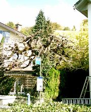 Jaccard Bernard Bild 5