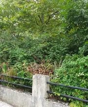 Lowson Paysage image 10