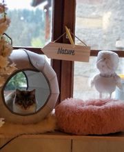 Le Clos des Coussinets image 8