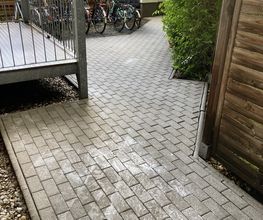 IMG_2987.jpeg
