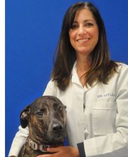 Caring Hands Animal Hospital - Alexandria image 1