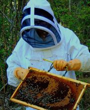 Poudevigne Lucas image 3