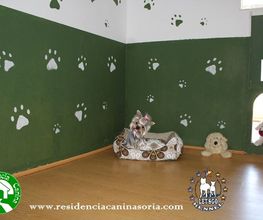 RESIDENCIA CANINA SORIA imagen 3